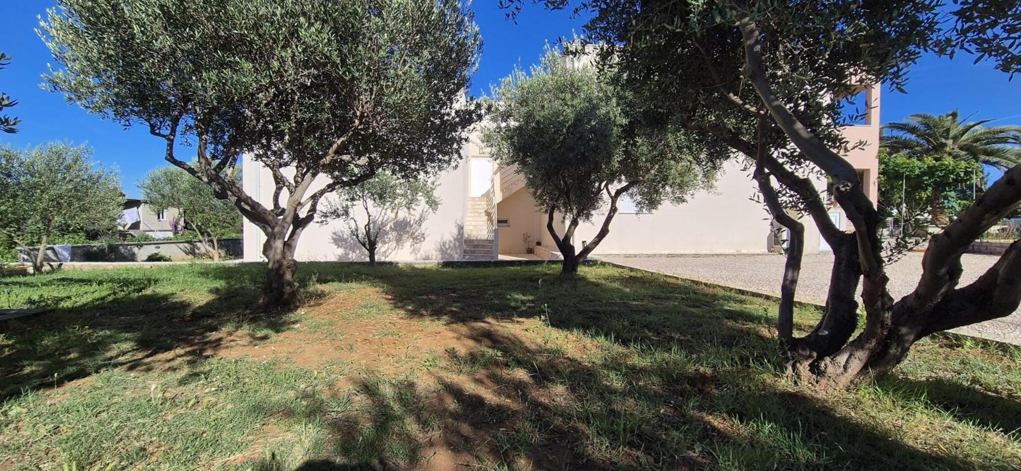 Apartman Petar Ražanac Esterno foto